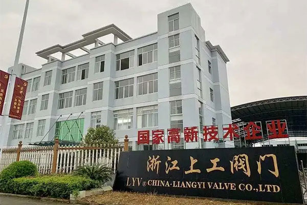 Zhejiang Liangyi Valve Co., Ltd : 60 पेक्षा जास्त लोक 60 दशलक्ष उत्पादन मूल्य कसे तयार करायचे?